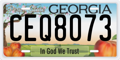 GA license plate CEQ8073