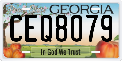 GA license plate CEQ8079
