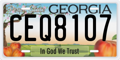 GA license plate CEQ8107