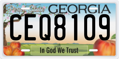 GA license plate CEQ8109