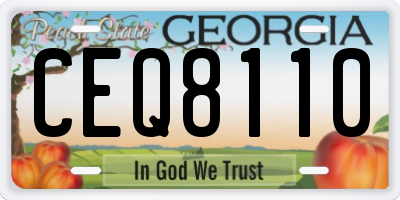 GA license plate CEQ8110