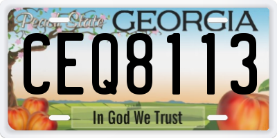 GA license plate CEQ8113