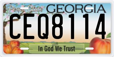 GA license plate CEQ8114