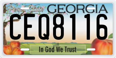 GA license plate CEQ8116