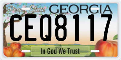 GA license plate CEQ8117