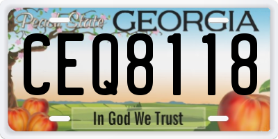 GA license plate CEQ8118