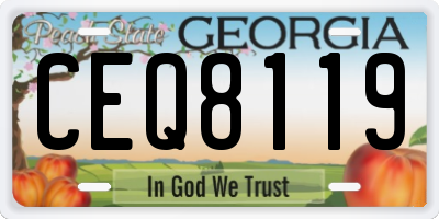 GA license plate CEQ8119