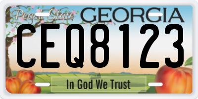 GA license plate CEQ8123