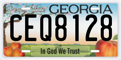GA license plate CEQ8128