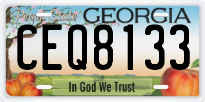 GA license plate CEQ8133