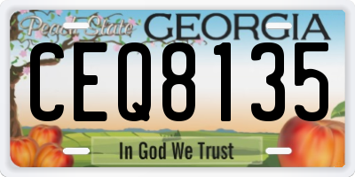GA license plate CEQ8135