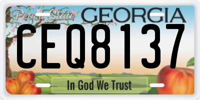 GA license plate CEQ8137