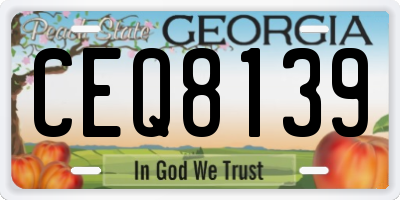GA license plate CEQ8139