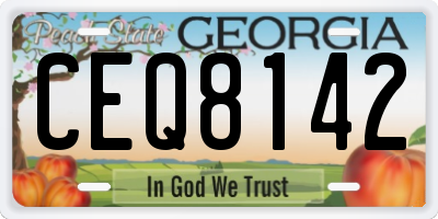 GA license plate CEQ8142