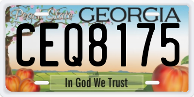 GA license plate CEQ8175