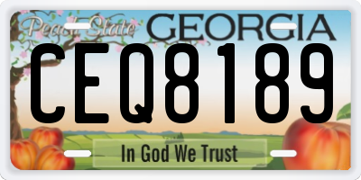 GA license plate CEQ8189