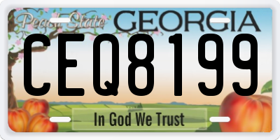 GA license plate CEQ8199