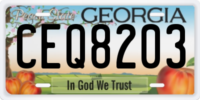 GA license plate CEQ8203