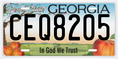 GA license plate CEQ8205