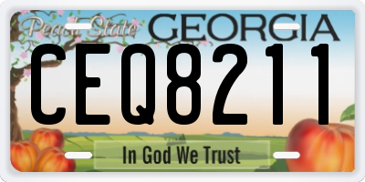 GA license plate CEQ8211
