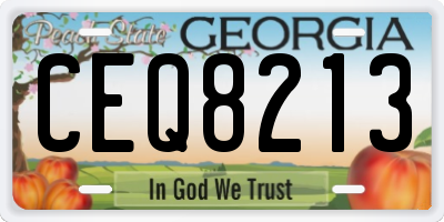 GA license plate CEQ8213