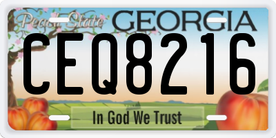GA license plate CEQ8216