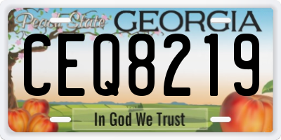 GA license plate CEQ8219