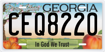 GA license plate CEQ8220