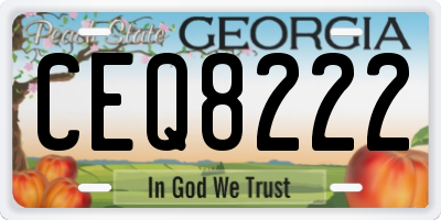 GA license plate CEQ8222
