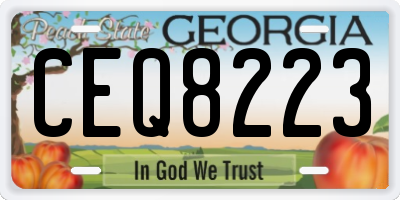 GA license plate CEQ8223