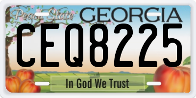 GA license plate CEQ8225