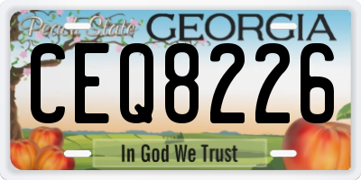 GA license plate CEQ8226