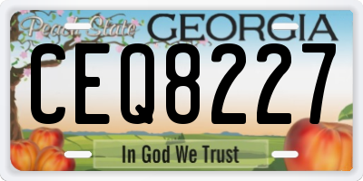 GA license plate CEQ8227