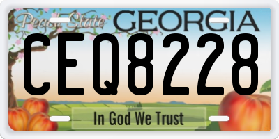 GA license plate CEQ8228