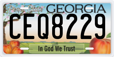 GA license plate CEQ8229