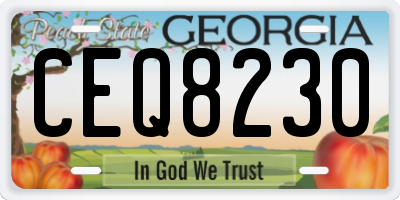 GA license plate CEQ8230
