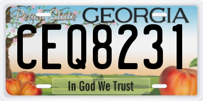 GA license plate CEQ8231
