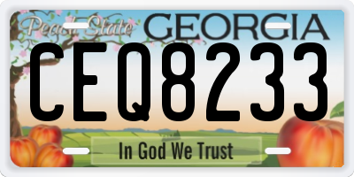 GA license plate CEQ8233