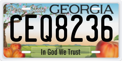 GA license plate CEQ8236