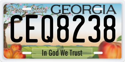 GA license plate CEQ8238