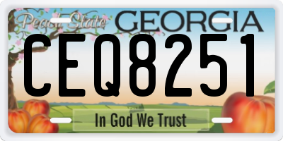 GA license plate CEQ8251