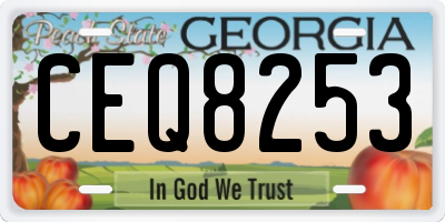 GA license plate CEQ8253