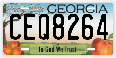 GA license plate CEQ8264
