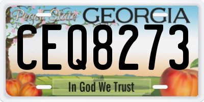 GA license plate CEQ8273