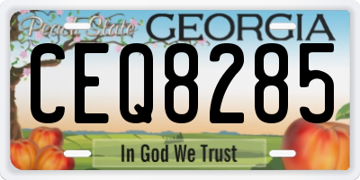 GA license plate CEQ8285