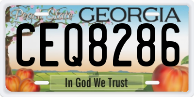 GA license plate CEQ8286