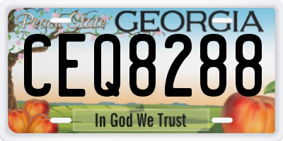 GA license plate CEQ8288