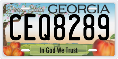 GA license plate CEQ8289