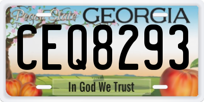 GA license plate CEQ8293