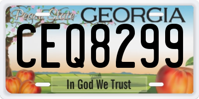 GA license plate CEQ8299